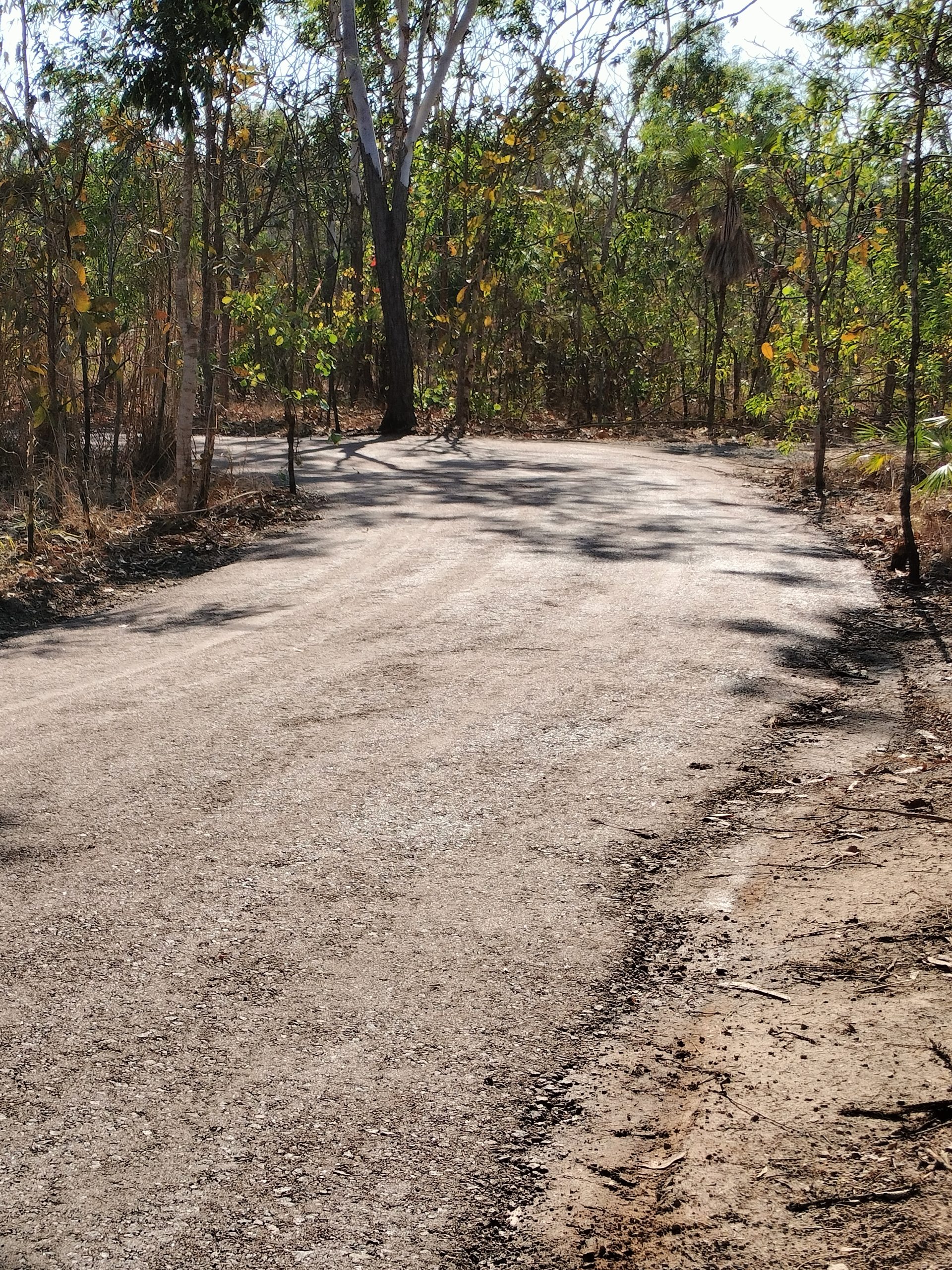 Gravel Driveway